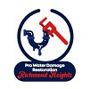 Pro Water Damage Restoration Richmond