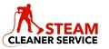 Steam Cleaner Service